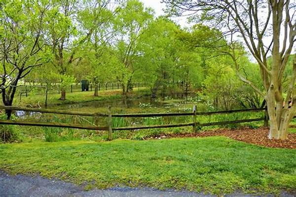 王者荣耀孙尚香火炮千金什么时候出售-王者荣耀孙尚香火炮千金皮肤怎么得到体验卡